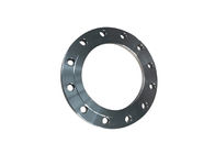 Pickling polishing DN600 Forged Stainless Steel 304 Flanges
